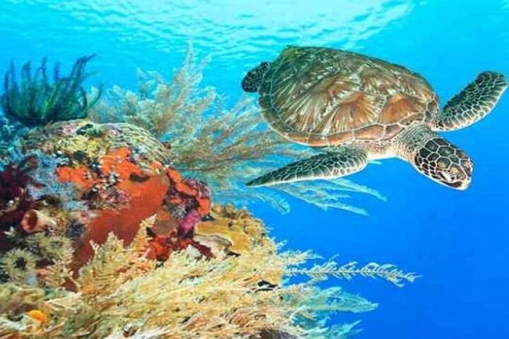 Hurghada Grand Aquarium Excursion